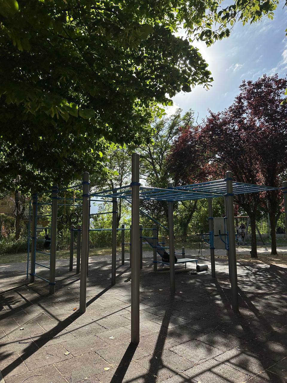 WhatsApp Image 2025-07-09 at 00.02.27